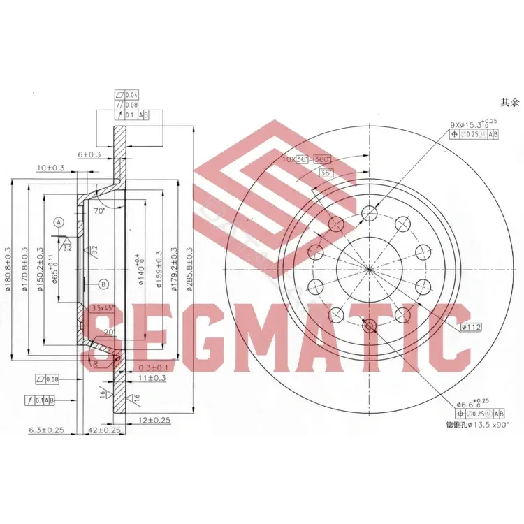 Тормозные диски SEGMATIC SBD30093056