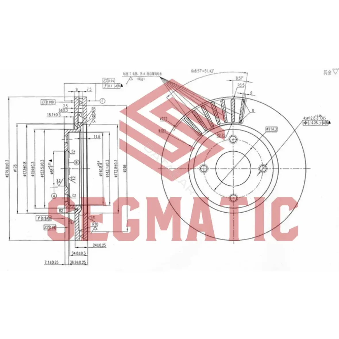 Тормозные диски SEGMATIC SBD30093102