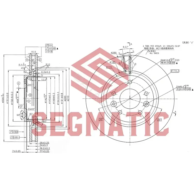 Тормозные диски SEGMATIC SBD30093213