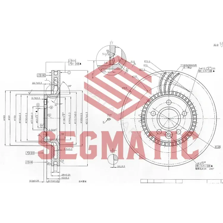 Тормозные диски SEGMATIC SBD30093096