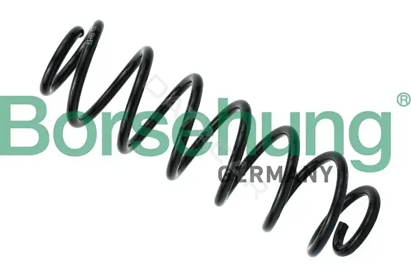 Пружины Borsehung B12566