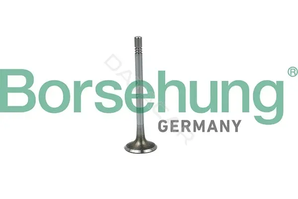 Впускной клапан Borsehung B19020
