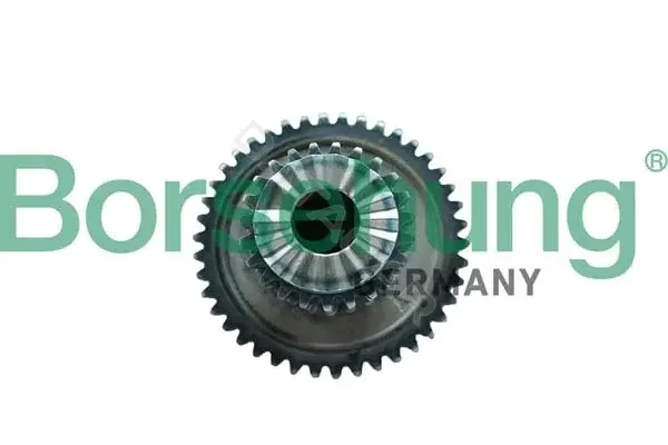 Цепь грм Borsehung B12746