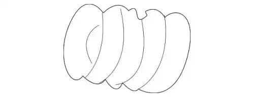 Пружины MAZDA BP4740582