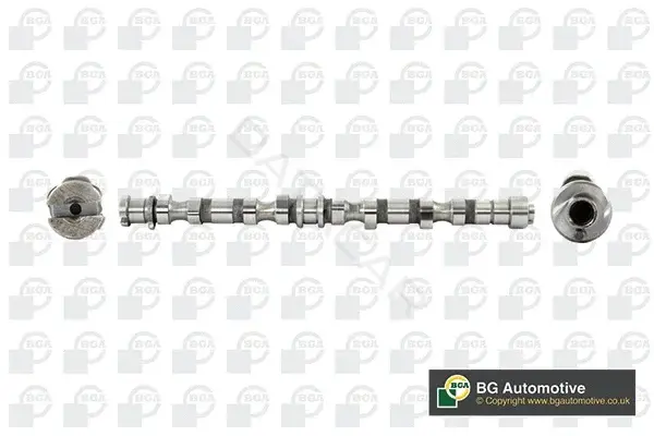 Распредвал BGA CS3605
