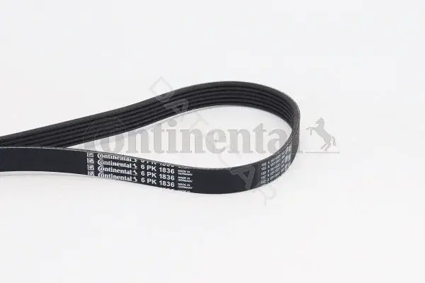 Ремень ручейковый CONTITECH 6PK1836