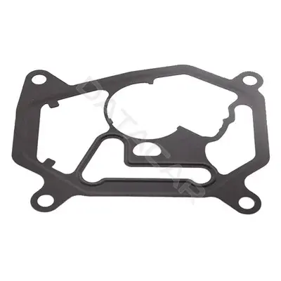 Прокладкa впускного коллектора AUTOPA-BAPMIC BF0425330002