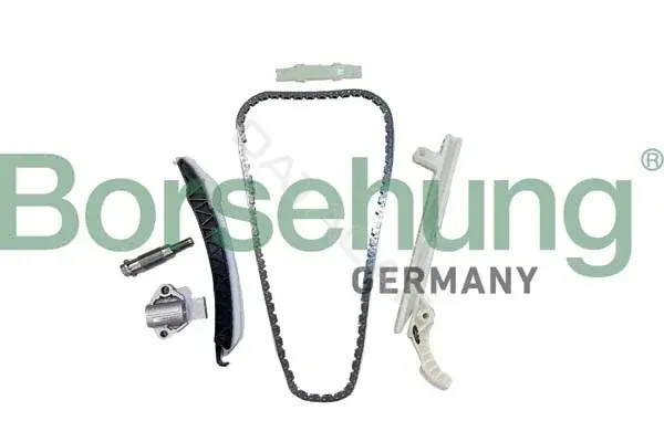 Комплект цепи ГРМ Borsehung B12556