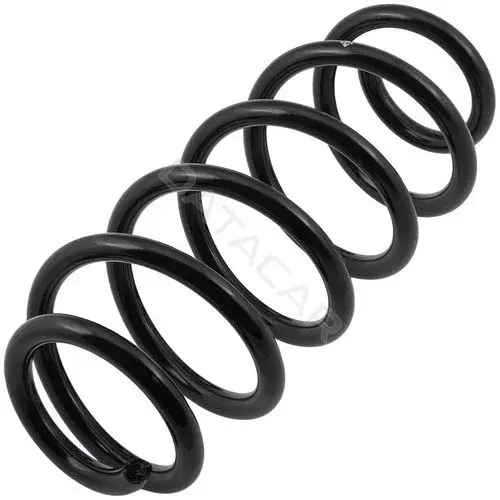 Пружины ZIKMAR Z48095R
