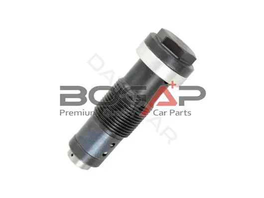 Натяжитель цепи BOGAP C1312101