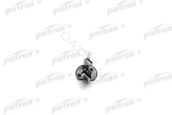Лампочки PATRON PLH1-12/55