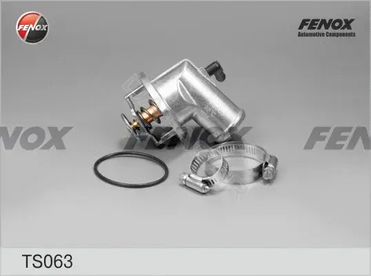 Термостат FENOX TS063
