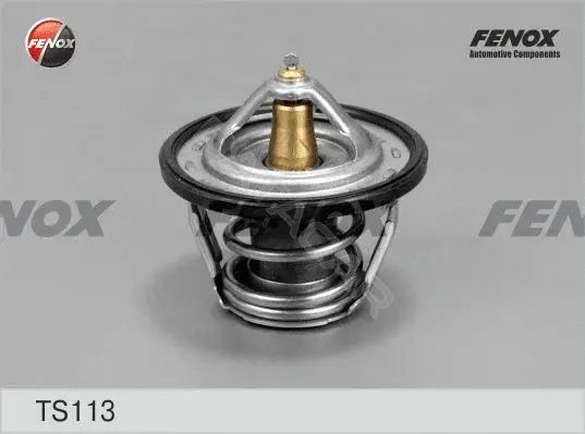 Термостат FENOX TS113