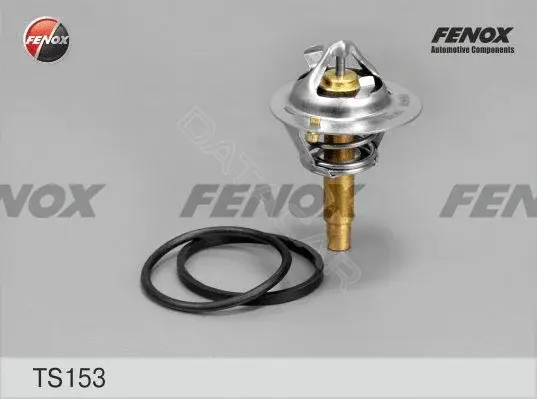 Термостат FENOX TS153