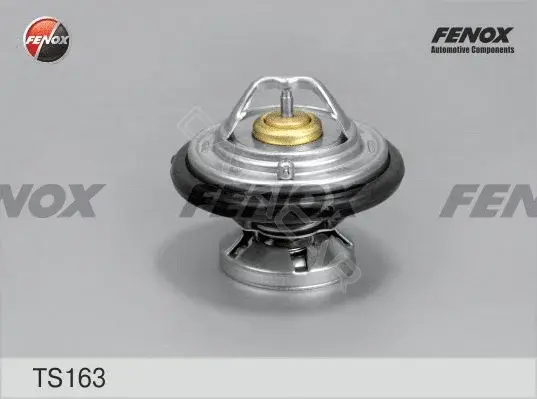 Термостат FENOX TS163