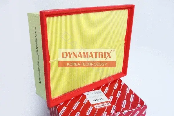 Воздушный фильтр DYNAMATRIX DAF819