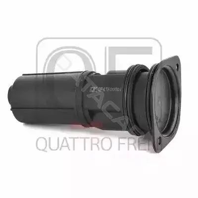 Клапан картерных газов QUATTRO FRENI QF47A00001