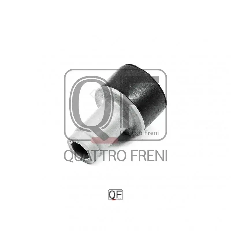 Клапан картерных газов QUATTRO FRENI QF47A00071