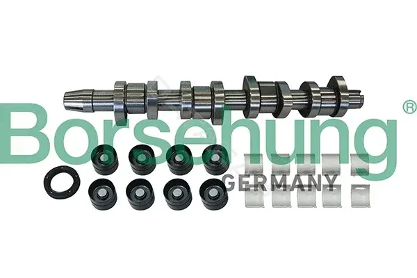 Распредвал Borsehung B11307