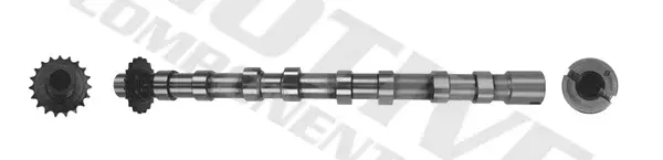 Распредвал MOTIVE T4001