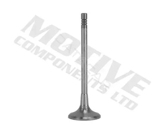 Впускной клапан MOTIVE IV10002