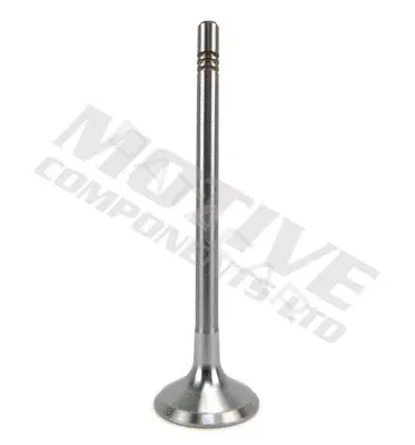 Впускной клапан MOTIVE IV10006