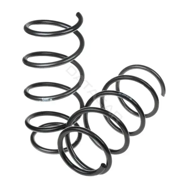 Пружины GANZ GIK02600