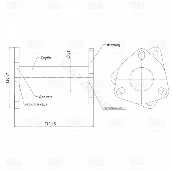 Глушитель выхлопных газов TRIALLI ECP0503