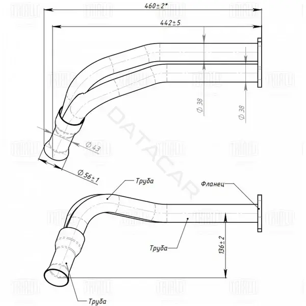 Глушитель выхлопных газов TRIALLI ERP0103
