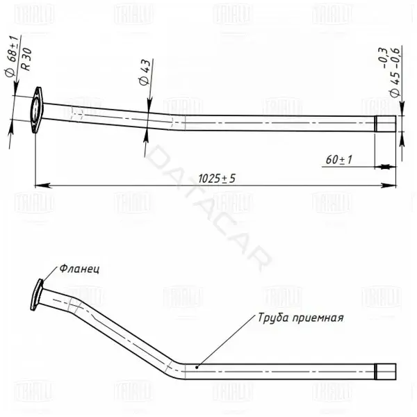 Глушитель выхлопных газов TRIALLI ERP0606
