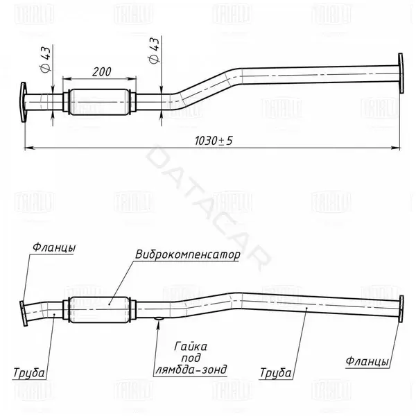 Глушитель выхлопных газов TRIALLI ERP0812