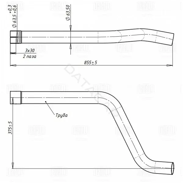 Глушитель выхлопных газов TRIALLI EMP0310