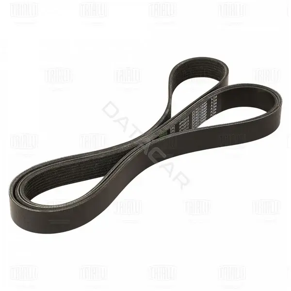 Ремень ручейковый TRIALLI 8PK2513