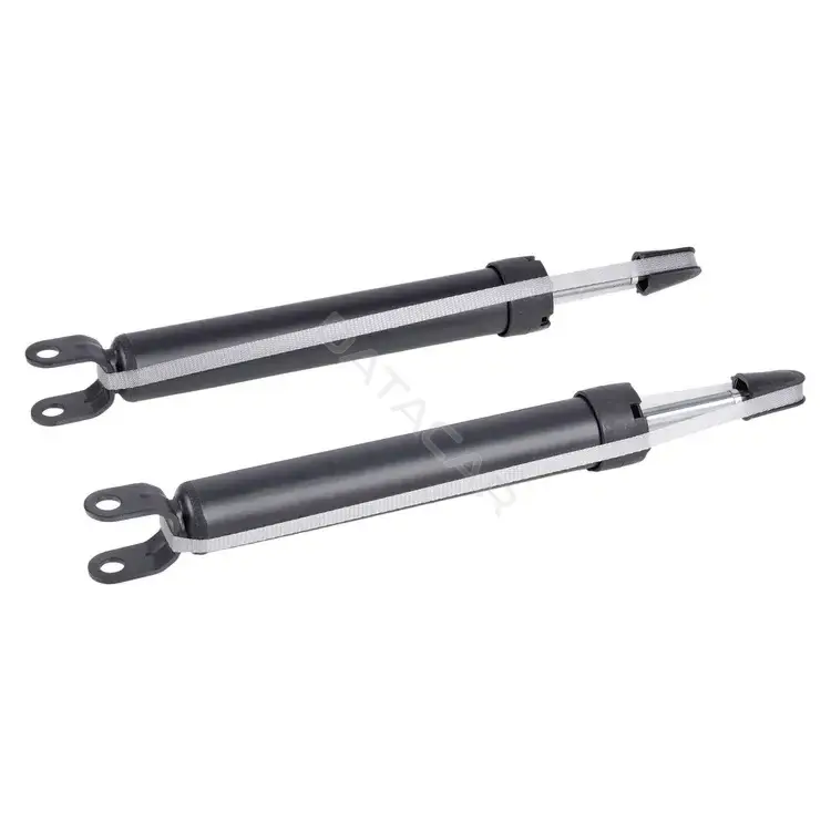 Амортизаторы TRIALLI AG29034