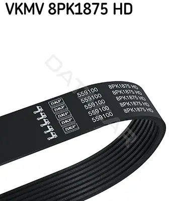 Ремень ручейковый SKF VKMV8PK1875HD