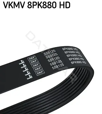 Ремень ручейковый SKF VKMV8PK880HD