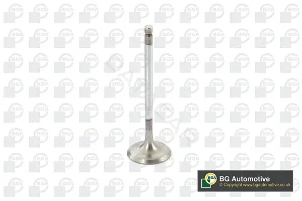 Впускной клапан BGA V851291