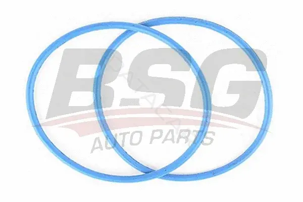 Прокладка термостата BSG BSG30-116-083
