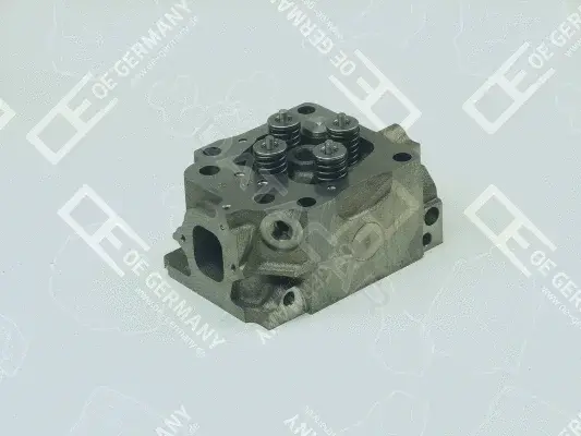 Головка блока цилиндров OE Germany 010129501003