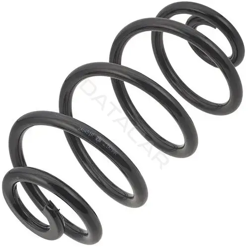Пружины ZIKMAR Z48451R