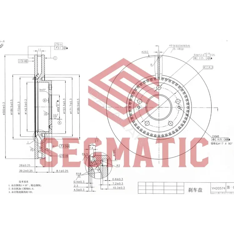 Тормозные диски SEGMATIC SBD30093093