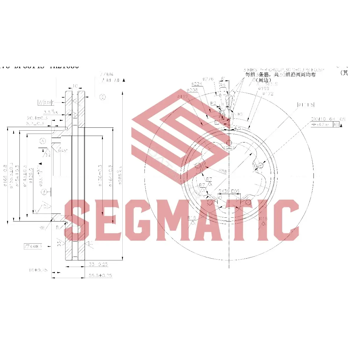 Тормозные диски SEGMATIC SBD30093124