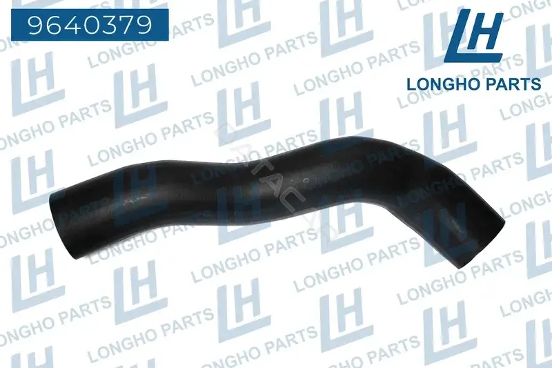 Патрубки системы охлаждения LONGHO 9640379