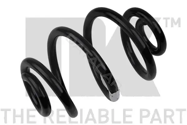 Пружины NK 541520