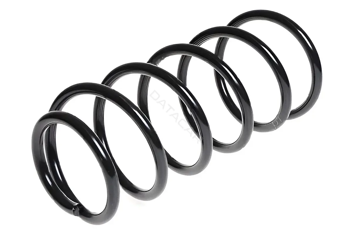 Пружины STANDARD SPRINGS ST145005F