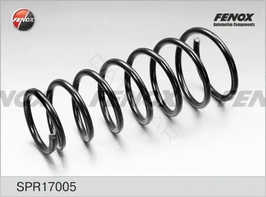 Пружины FENOX SPR17005