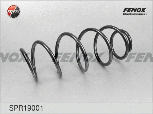 Пружины FENOX SPR19001