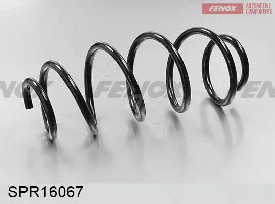 Пружины FENOX SPR16067