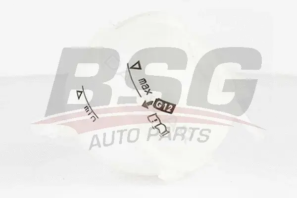 Расширительный бачок BSG BSG90-550-004