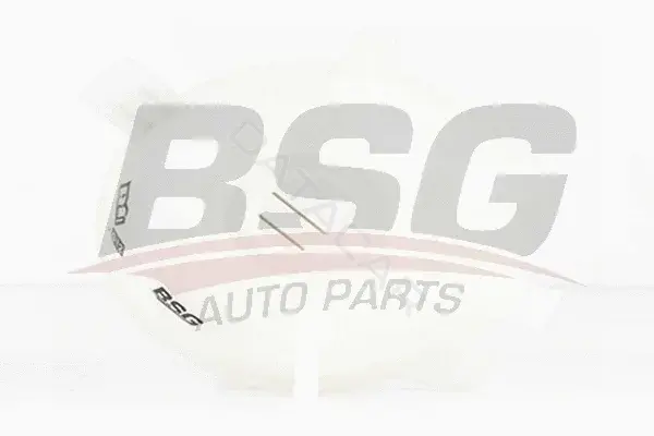 Расширительный бачок BSG BSG90-550-006
